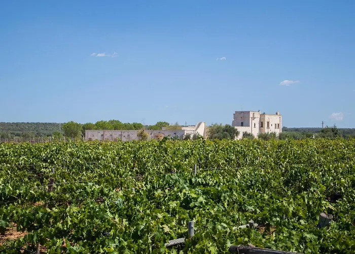 Masseria Giustiniani Çiftlik konaklama Torricella (Taranto)