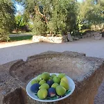 农家乐 Masseria Giustiniani