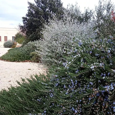 Masseria Giustiniani *